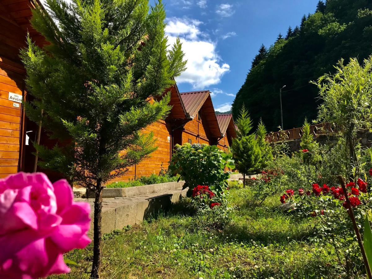 Tuva Villa Bungalov Çamlıhemşin Exterior foto